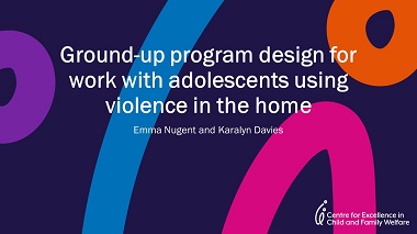 Ground-up program design for work with adolescents using violence in the home