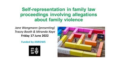 Self-representation in family law proceedings involving allegations about family violence